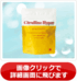 /�V�g�������n�C�p�[