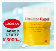 �V�g�������n�C�p�[(A-14)